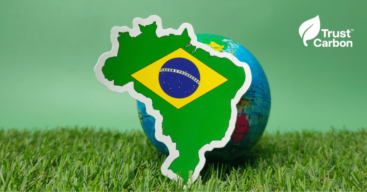 Global Carbon Credits Market - Brazil and World