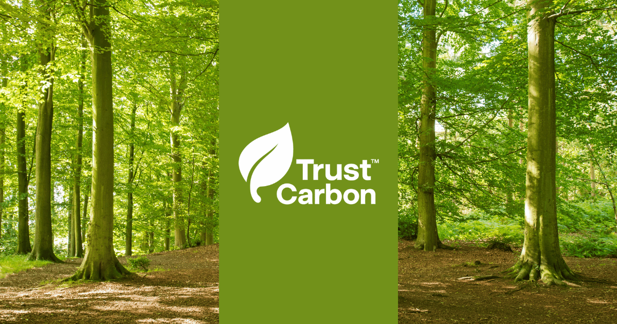 Trust Carbon - Innovation in Brazil