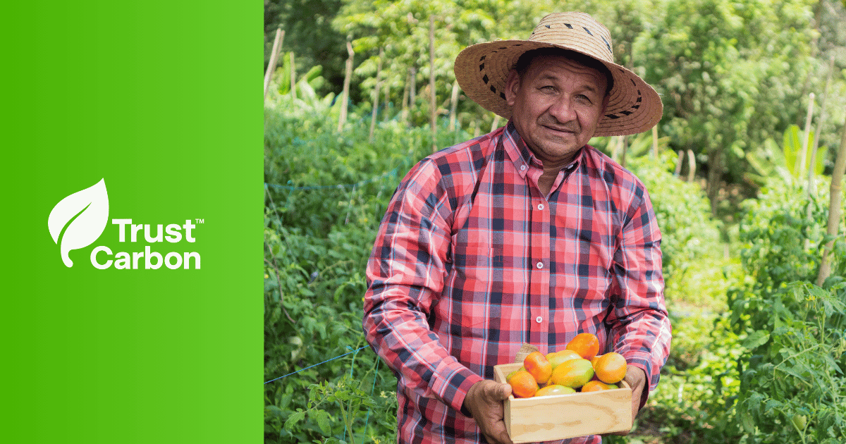 Trust Carbon - Carbon Credits in Brazil